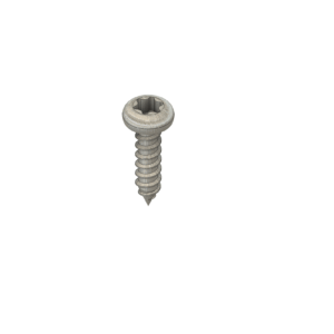 SnoClip Screw (66 per bag)
