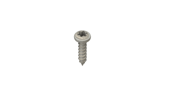 SnoClip Screw (66 per bag)