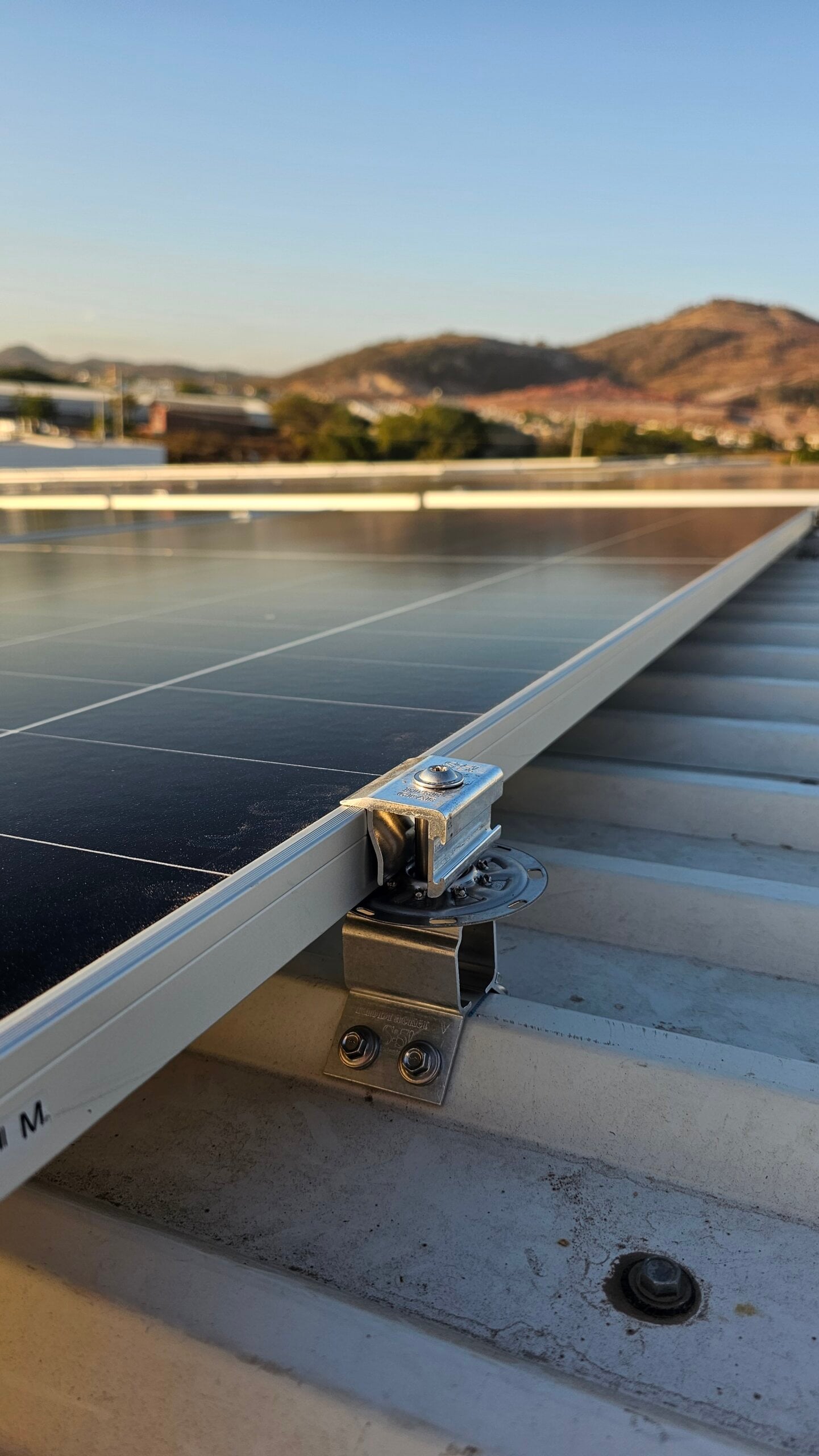 Jamaican Dairy Farm - Image 1